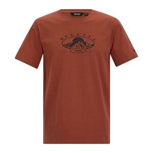 Regatta Mens Cline IX Mountain T-Shirt / Brick Red